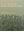 Vascular Plants of the Hawaian Islands. Parts 2 - 4. (?) - 1944. 466 p. gr8vo. Paper bd.