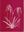 A Survey of the Slipper Orchids. 1973. 1 col. pl. Many line - drawings. 145 p. gr8vo. Hardcover.
