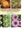 Medicinal Plants in Australia. Vol. 3: Plants, Potions and Poisons. 2012. 900 col. figs. 472 p. gr8vo. Hardcover.