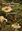  The Genus Tricholoma in Britain. 2012. 58 col. photogr. 45 p. Paper back.