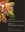  Genera Orchidacearum. Vol. 6: Epidendroideae (part 3). 2014. 194 col. photographs. Many line drawings and distrib. maps. XX, 544 p. 4to. Hardcover.