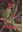  Volume 2. 2013. Many col. figs. 148 p. 4to. Paper bd. - Bilingual (Russian / English)