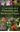  Color Handbook of Flowering and Medicinal Plants. 2014. Many col. photogr. 225 p. gr8vo. Paper bd.