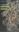 A Field Guide to California Lichens. 2014. 530 col. photographs. XVI, 405 p. Paper bd.