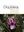 Orquideas, tesoro de Colombia / Orchids, a Colombian Treasure. Volume 2. 2017. 431 line figs. 887 col. photographs. 400 p. 4to. Hardcover. - Bilingual (Spanish & English).