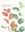 Plants from the Woods and Forests of Chile. 2015. 81 watercolour paintings. Approx. 200 p. Hardcover.English language edition. 42 x 30 cm. In slip case.
