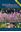 Wildflowers of New Brunswick: Field Guide. 2015. illus. XI, 429 p. Plastic cover.