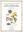  Flora. Federico Cesi's Botanical Manuscripts. With contributions by Luigi Guerrini and David Pegler. 3 vols. 2015. (The Paper Museum of Cassiano dal Pozzo. Series B. Part VII. Natural History). 869 col. illus. 1328 p. gr8vo. Hardcover. - In English. 