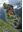Distribution atlas of vascular plants in Albania. 2017. ca. 3176 dot maps. 492 p. 4to. Hardcover. - In English.
