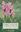 Orchids of Britain and Ireland: A Field and Site Guide. 2nd rev. ed. 2009. 370 col. photogr. 480 p. gr8vo. Hardcover.