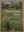 Nyköpings flora. 2019. illus. 303 p. Hardcover. - In Swedish, with Latin nomenclature.