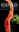 Pleurothallids. Neotropical Jewels. Volume 1. 2020. 1000 col. photogr. 320 p. Hardcover.
