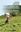 Senozeti, Rovti - Strme in Pisane Pvrsine / Meadows - Steep and Colourful Grasslands. 2020. illus. 238 p. - Bilingual (Slovenian / English)