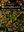 Bryophytes of Anamudi Shola National Park in the Western Ghats of Kerala, India. 2021. 161 col. pls. XIII,  458 p. gr8vo. Hardcover.