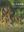 Bryophytes of Jingning. 2022. ca 1000 col. figs. 262 p. gr8vo. Hard cover. - In Chinese, with Latin nomenclature.