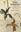 In the Herbarium. The Hidden World of Collecting and Preserving Plants. 2023. 42 figs (b/w). IX, 325 p. gr8vo. Hardcover.