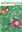 An annotated checklist of the tree species of French Guiana, including vernnacular nomenclature. 2022. (Adansonia, 44 (26).)  559 p. 4to. Paper bd.- Bilingual (French / English)