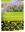 Guide expert de a flore du Massif armoricain et ses marges - Bretagne, Basse-Normandie, Pays de la Loire, Deux-Sèvres. 2023. 2500 photogr. en couleurs. 895 gr8vo. Paper bd.