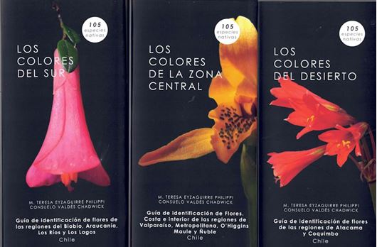 Los colores del Desierte, (and:) Los colores de la Zona Central. (and:)  Los colores del Sur. 3 leporellos. 2024.