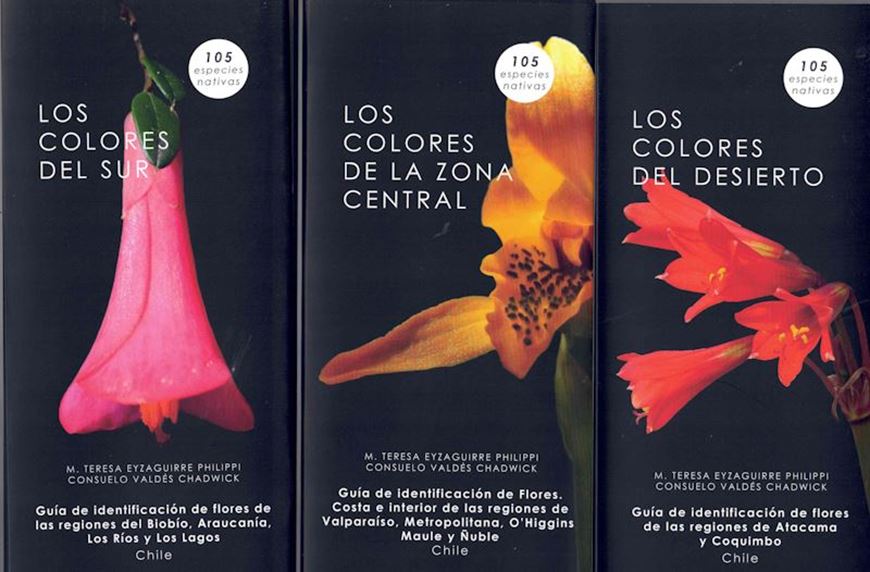 Los colores del Desierte, (and:) Los colores de la Zona Central. (and:)  Los colores del Sur. 3 leporellos. 2024.