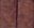 Observations sur Les Plantes. 2 volumes. 1747. 4 foldg. pengraved plates. LXIII, 766 p. & 44 p. indices. 8vo. Leather.