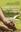 Restoring Forests and Trees for Sustainable Development. 2024. XXII, 361  p. gr8vo. Hardcover.