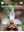 Orchidee d'italia. Guida alle orchidee spontanee. 2024. (Serie Giardinaccio). illus. 480 p. gr8vo. Paper bd. - In Italian.