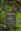 Demons in Eden. The Paradox of Plant Diversity. 2005. 8 col. pls. X, 169 p. gr8vo. Hardcover.