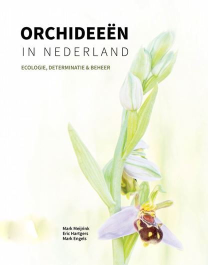 Orchideeen in Nederland: Ecologie, Determinatie & Beheer. 2025. more than 2000 photographs. 900 p. gr8vo. Hardcover.- In Dutch, with Latin nomenclature