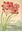 Outeniqua, Tsitsikamma & Eastern Little Karoo. (South African Wild Flower Guide, No. 2.). 10 col. photographs. 80 coloured drawings. 206 p. 8vo. Paper bd.