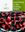 Food Plants of the Sonoran Desert. 2000. 140 photogr. 27 figs. XV, 313 p. 4to. Hardcover.