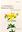  The Constituents of Medicinal Plants. An Introduction to the Chemistry and Therapeutics of Herbal Medicine. 2004. illustr. 184 p. gr8vo. Paper bd.
