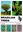 Brazilian Trees. A Guide to the Identification and Cultivation of Brazilian Native Trees. Volume 03. 2009. many col. photogr. 384 p. 4to. Hardcover. - In English.