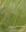  Catalogue des Plantes Vasculaires du Burkina  Faso. 2012. (Boissiera, 65). 6 col. pls. 391 p. 4to. Paper bd. 