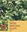 Reviews on Indian Medicinal Plants. Volume 12: Letters Ha - Hy. 2013. XXXIII, 1174 p. gr8vo. Hardcover.