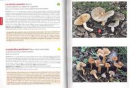 Guia de las Setas de Menorca. 2016, illus. (col.). 384 p. Paper bd. - In Spanish, with Latin nomenclature.