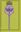 Flora of Turkey and the East Aegean Islands. Volume 002. 1967. (Reprint 1997). 16 pls. 68 distrib. maps. XII,581 p. gr8vo. Hardcover.