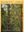 Bamboos of China. 1987. 4 colour plates. 64 line-drawings. 68 black & white photographs. 167 p. Lex8vo. Cloth.