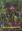 Orchids of Indiana. 1993. 95 colour photographs. 15 black & white photos. 11 figures. 2 tables. distr. maps. XIX, 276 p. gr8vo. Cloth.