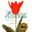  Women of Flowers. A tribute to Victorian women artists. 1996. illustr. 224 p.