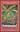 Yanomami. A forest people. With illustrations by Jane Rutherford. 1999. 12 col. pls. 71 figs. VIII, 161 p. gr8vo. Paper bd.