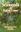  Seaweeds of Indian Coast. 2001. XXI, 283 p. gr8vo. Hardcover.