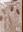 Revision of the genus Amphisphaeria. 2004. (Fungal Diversity Series). illus. V, 168 p. gr8vo. Hardcover.
