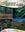 Tasmania's Natural Flora. 2nd edition. 2012. over 700 col. photogr. X, 431 p. gr8vo. Paper bd.