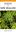 A Photographic Guide to Ferns of New Zealand. 2003. colour photogr. 132 p. Paperback.