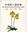 The Genus Paphiopedilum in China. 2009. Many col. photogr. VIII, 378 p. gr8vo. Hardcover. - Bilingual (Chinese / English).