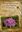  Photographic Guide to Wild Flowers of Lebanon. Vol. 2. 2008. 400 col. photogr. VIII, 424 p. 8vo. Paper bd.