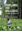  Poplars and Willows. Trees for Society and the Environment. 2013. 624 p. gr8vo. Hardcover. 