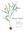 Flora of Virginia. 2012. 1400 figs. 1572 p. gr8vo. Hardcover.