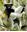  Madagascar - La Foret des nos ancètres. 2010. illus.236 p. Hardcover.
